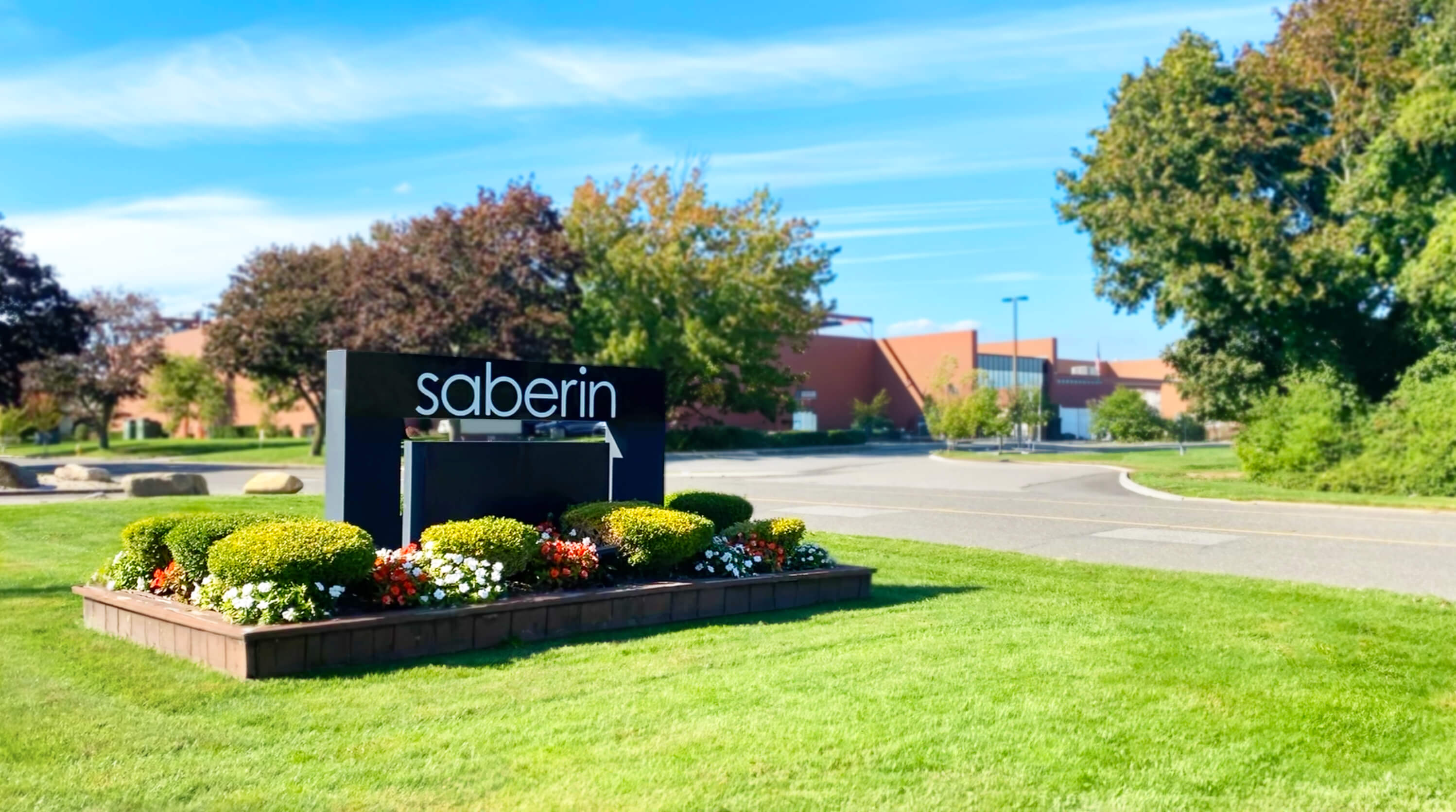 Background for slide 1